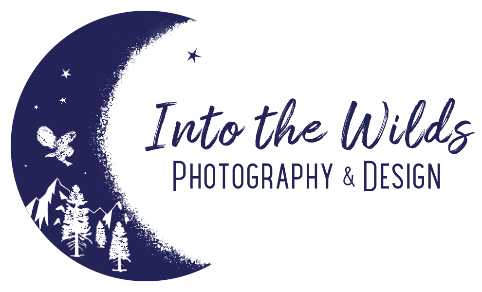 Into the Wilds Photography
